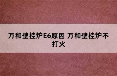 万和壁挂炉E6原因 万和壁挂炉不打火